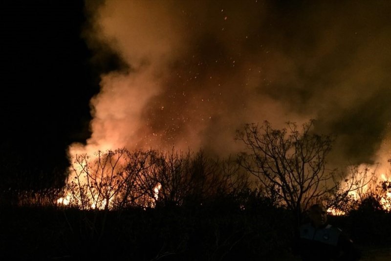 Antalya'da Sazlık Yangını