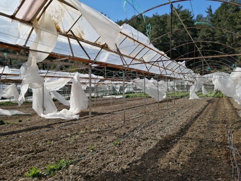 Hortum Antalya'yı Vurdu