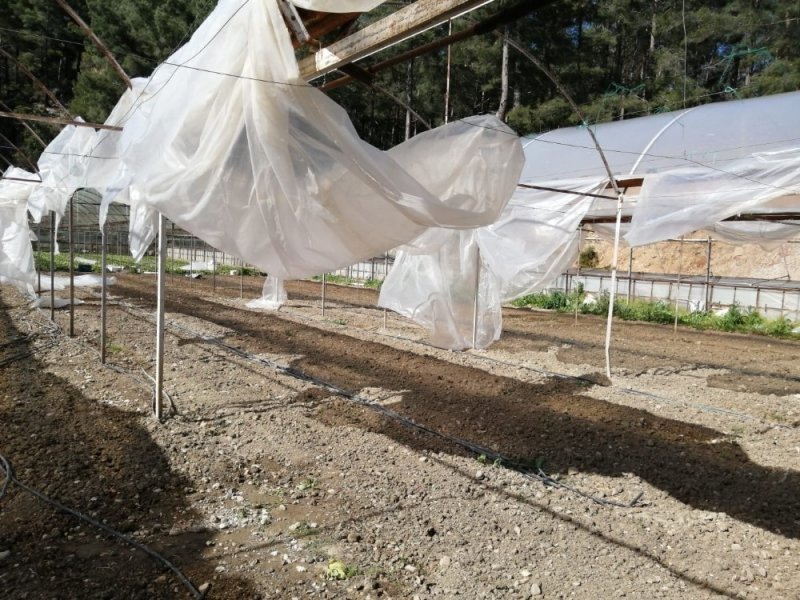 Hortum Antalya'yı Vurdu