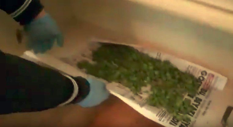 Antalya'da Müzikli Kenevircilere Baskın