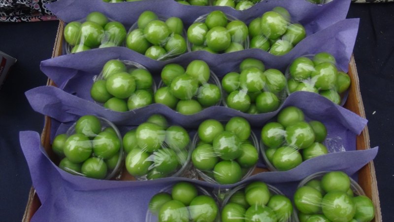 Silifke'de Şaşırtan Fiyatıyla Erik Hasadı Başladı