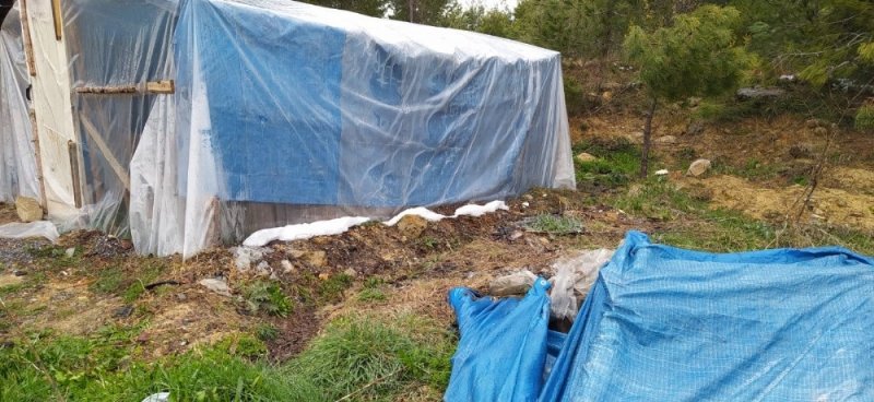 Mersin'de Bekçi Çadırda Zehirlenerek Öldü