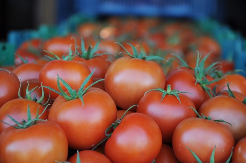 Korona Virüs Domatesin Kilosunu 1 Liraya Düşürdü
