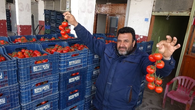 Korona Virüs Domatesin Kilosunu 1 Liraya Düşürdü