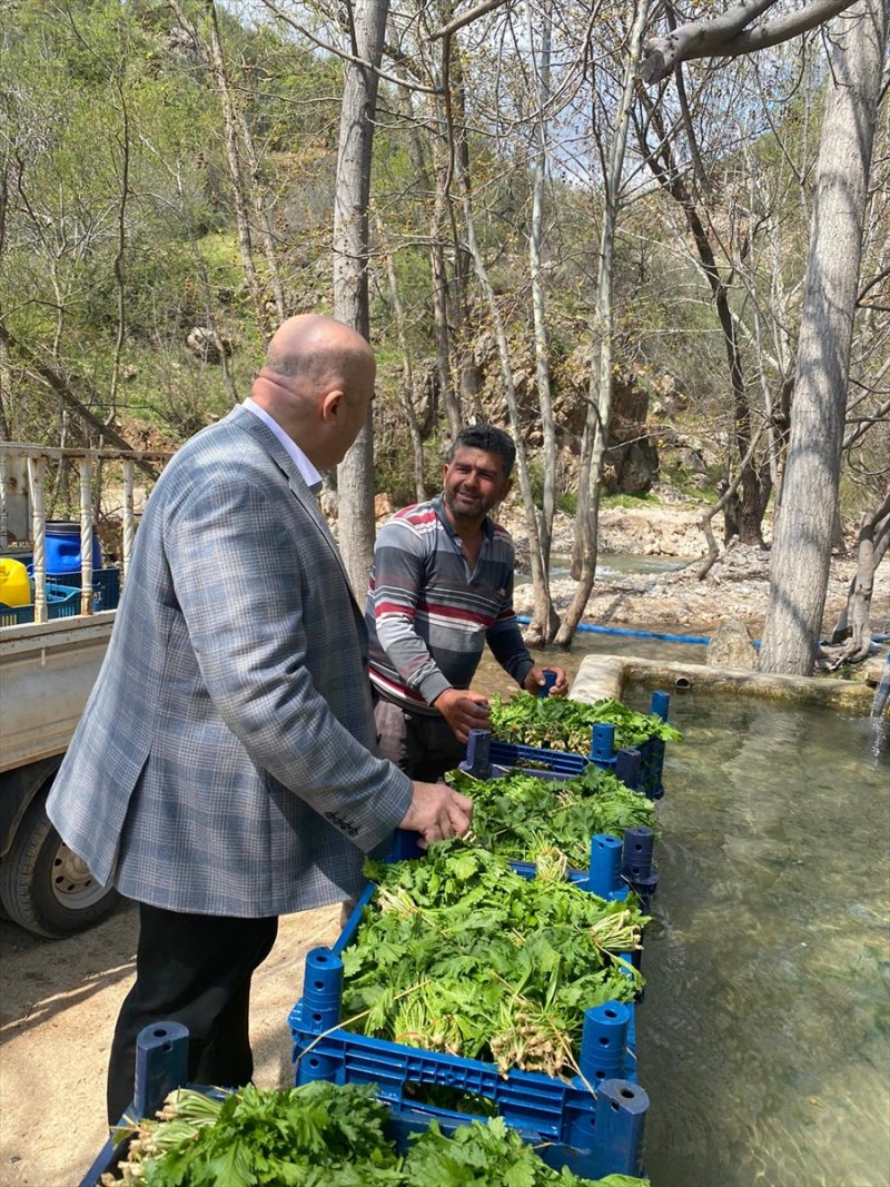 Karaman Ziraat Odası Başkanı Bayram'dan Üreticilere "Sabırlı Olalım" Uyarısı