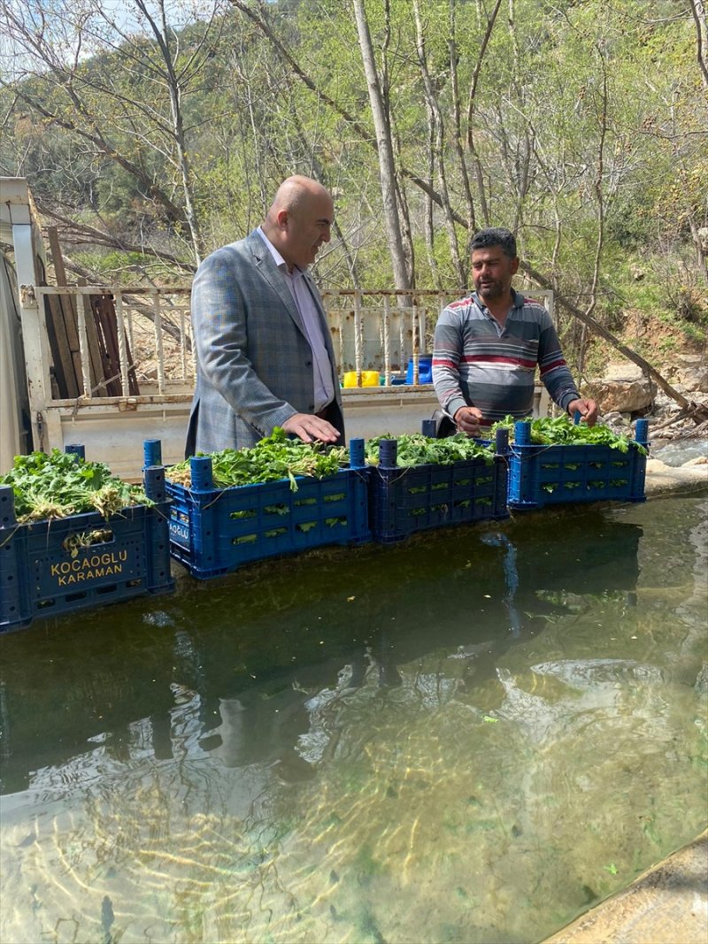 Karaman Ziraat Odası Başkanı Bayram'dan Üreticilere "Sabırlı Olalım" Uyarısı