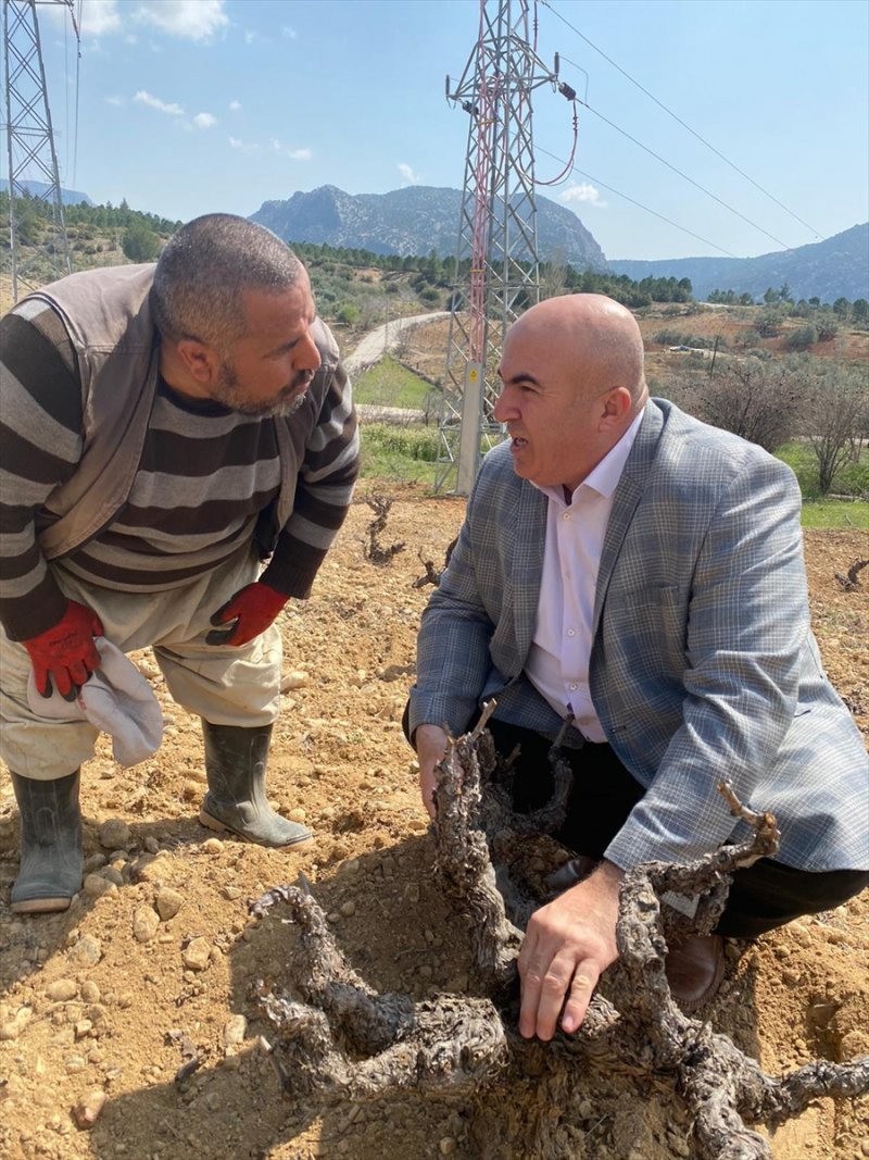 Karaman Ziraat Odası Başkanı Bayram'dan Üreticilere "Sabırlı Olalım" Uyarısı