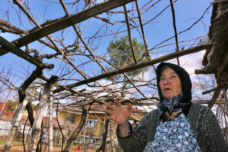 Tevhide Nine Yalnızca Hal Hatır Sorulmasını İstiyor