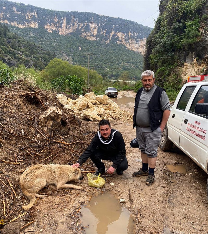Mersin'de Derede Mahsur Kalan Köpeği İtfaiye Kurtardı