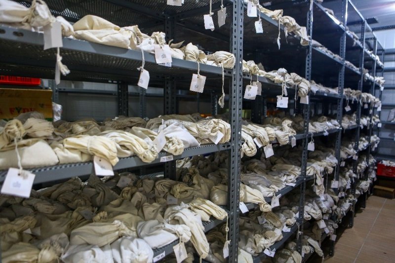 Binlerce Yıllık Tohumlara Salgın Koruması