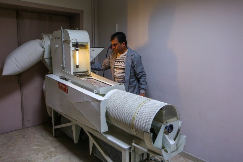 Binlerce Yıllık Tohumlara Salgın Koruması