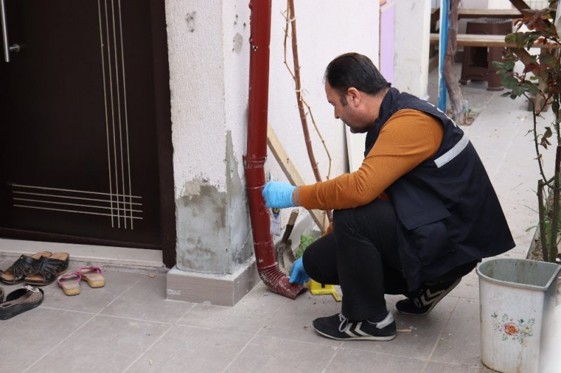 Şehir Magandaları Karaman'da Basın Mensubunu Hedef Aldı