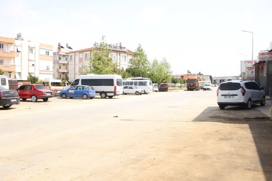 Pişkinliğin Bu Kadarı "Hareket Çekme, Hareketin Kralını Görürsün"