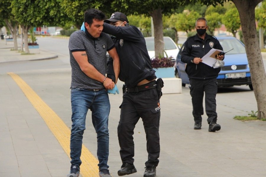 Pişkinliğin Bu Kadarı "Hareket Çekme, Hareketin Kralını Görürsün"