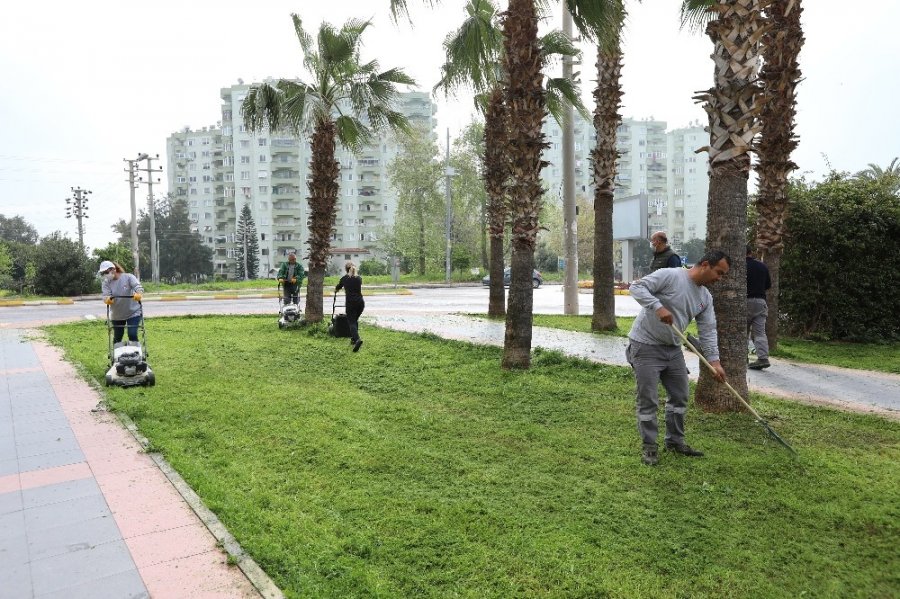 Mezitli’de Parklar Ve Sosyal Alanlarda Bakım Çalışması