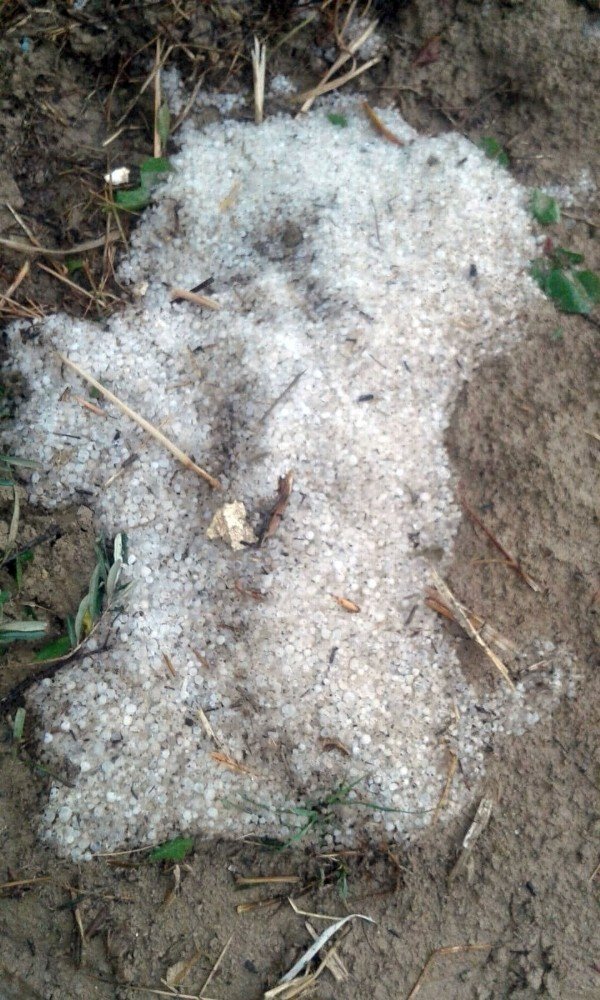 Tarsus’ta Yağan Dolu Ekili Tarım Arazilerine Zarar Verdi