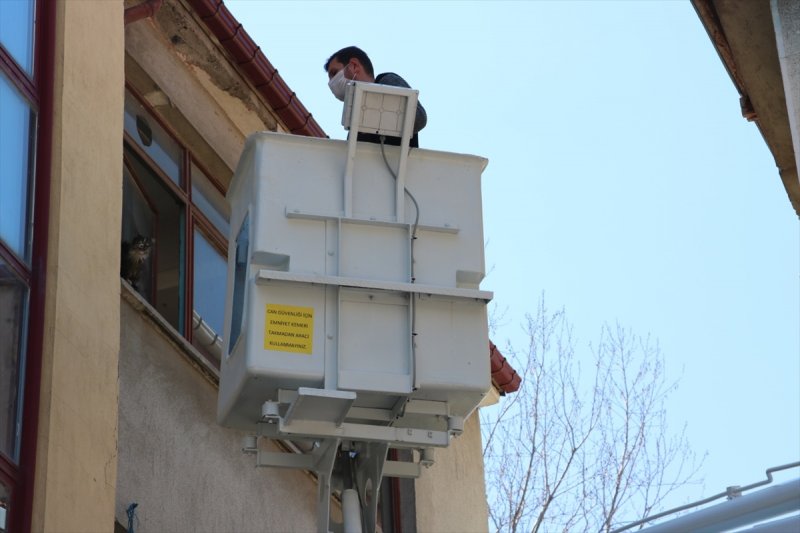 Boş Evde Mahsur Kalan Kediyi Belediye Ekipleri Kurtardı