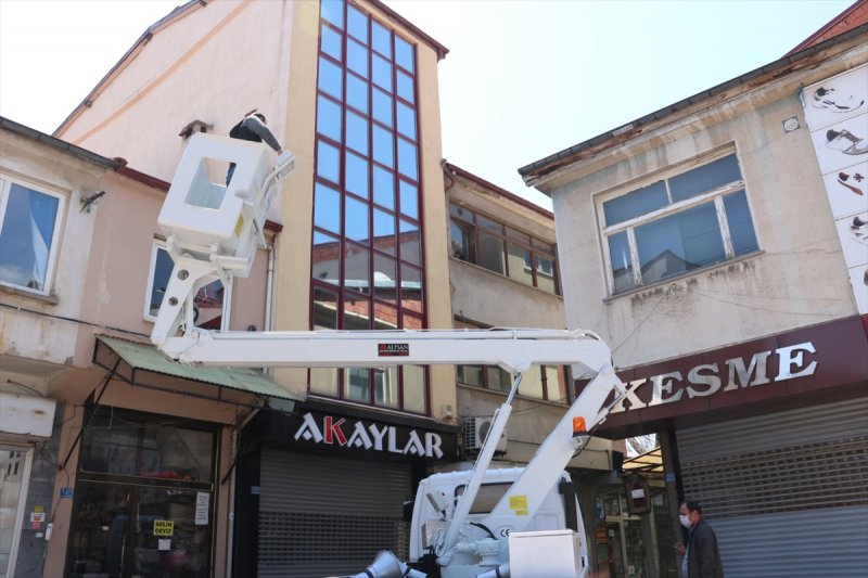 Boş Evde Mahsur Kalan Kediyi Belediye Ekipleri Kurtardı