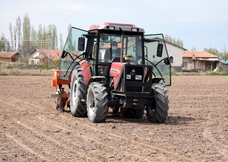 Aksaraylı Çiftçiler, Kovid-19'a Rağmen Ekimi Sürdürüyor