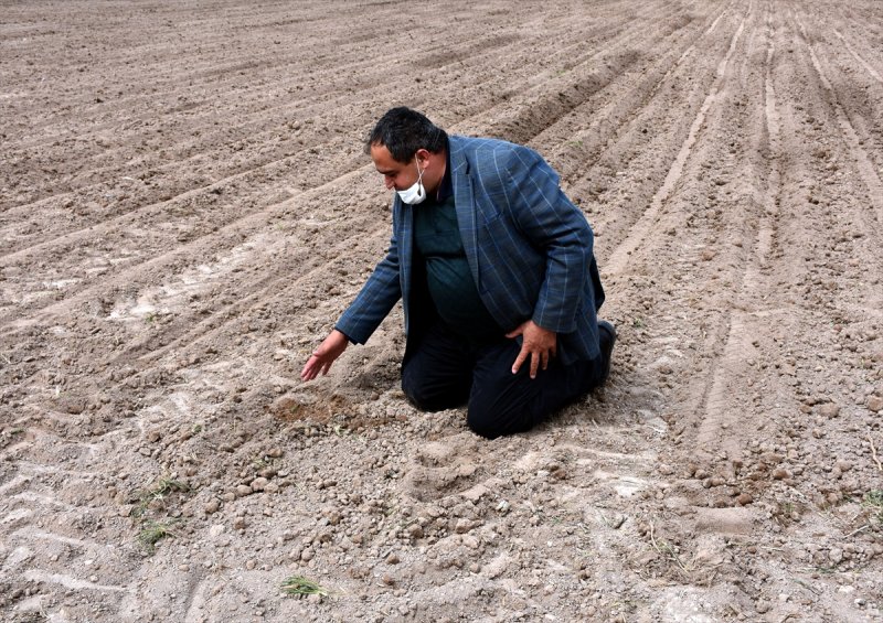 Aksaraylı Çiftçiler, Kovid-19'a Rağmen Ekimi Sürdürüyor
