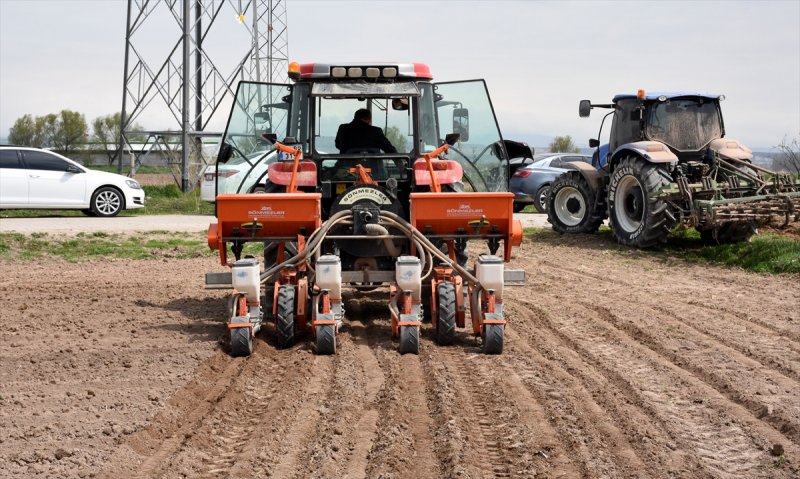 Aksaraylı Çiftçiler, Kovid-19'a Rağmen Ekimi Sürdürüyor