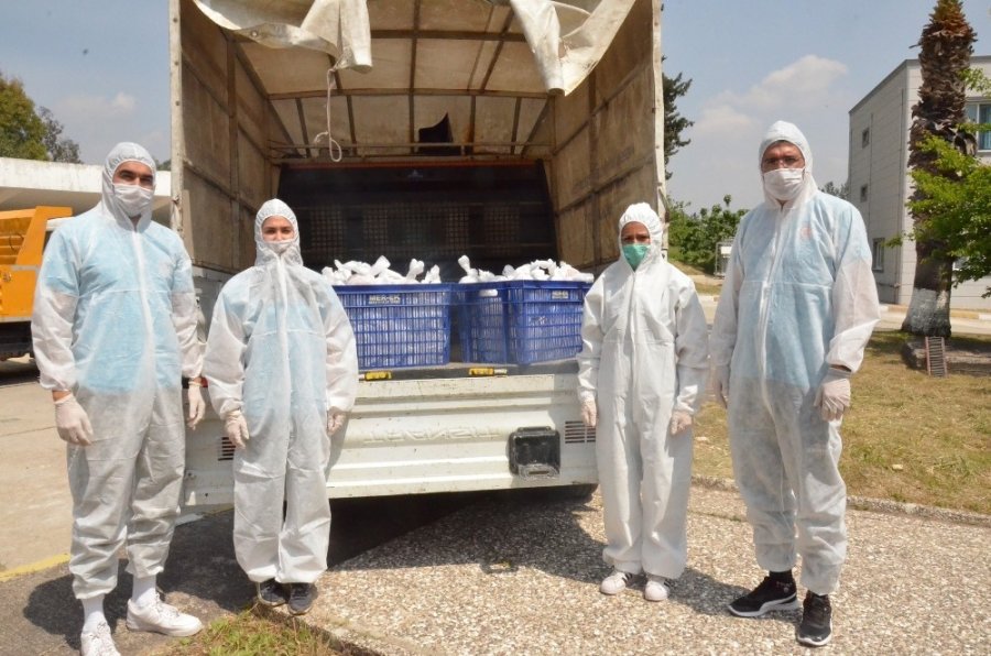 Tarsus’ta Aşhane Hizmete Girdi