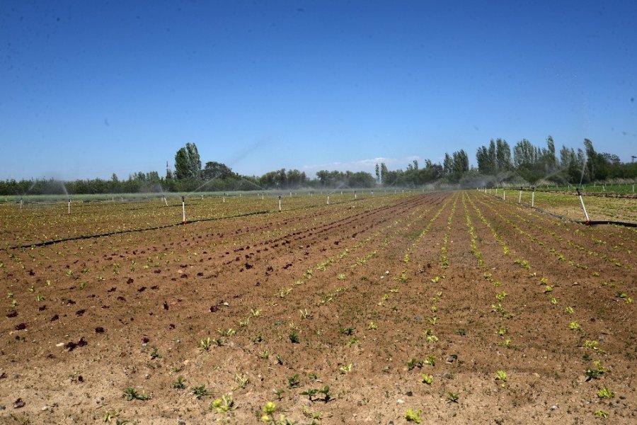 Karaman Tarımında Sulama Sezonu