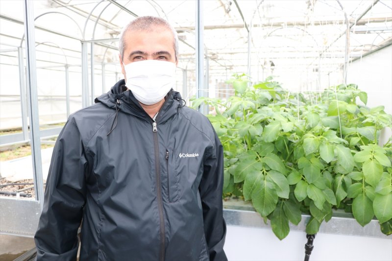 Niğde'de Ömer Halisdemir Üniversitesinden, Patates İçin Özel Çalışma