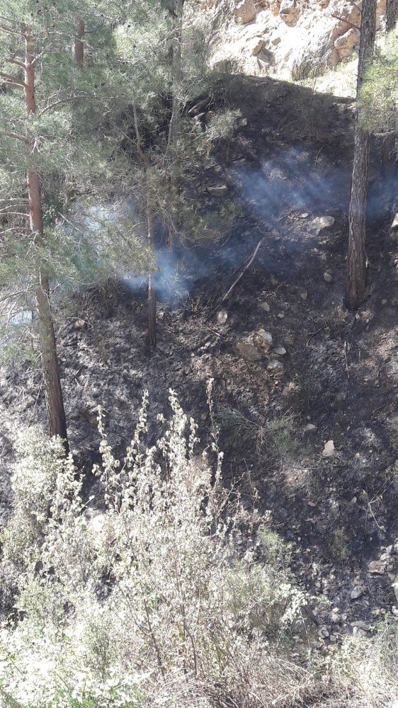 Antalyalı Çiftçi Ormanı Kurtarmak İsterken Canından Oldu