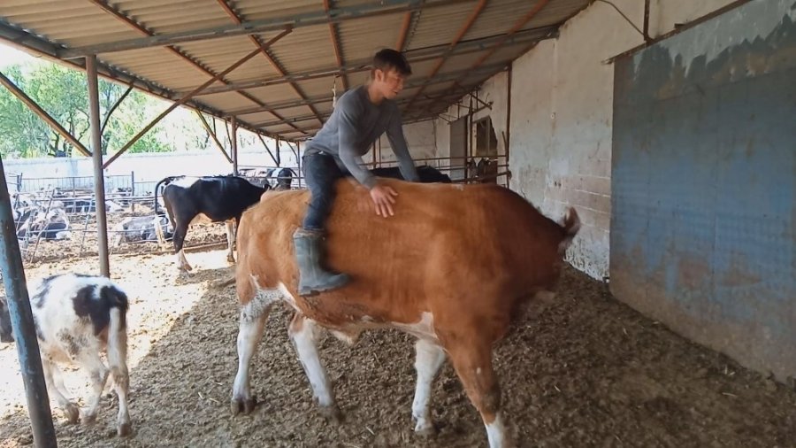 Karaman'dan Korona İle Değişen Gündeme Renkli Haber