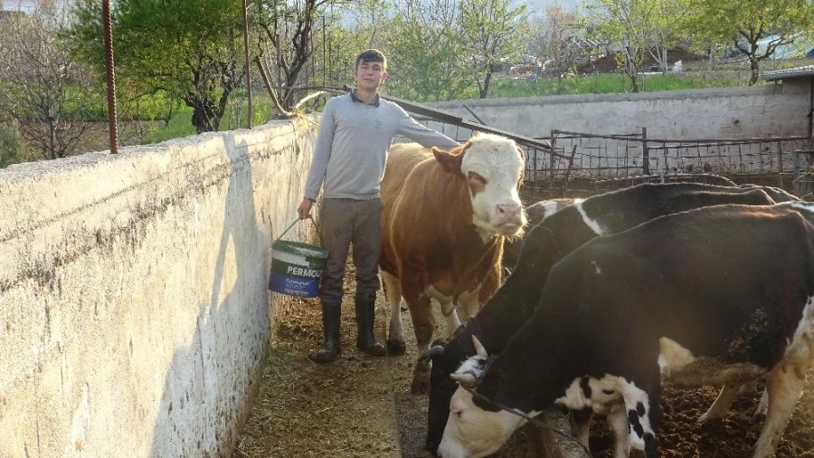 Karaman'dan Korona İle Değişen Gündeme Renkli Haber