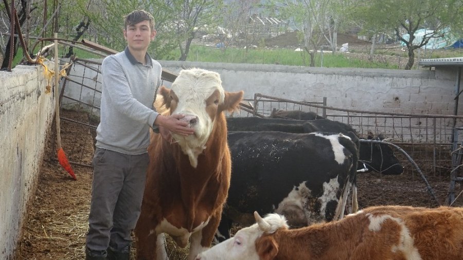 Karaman'dan Korona İle Değişen Gündeme Renkli Haber