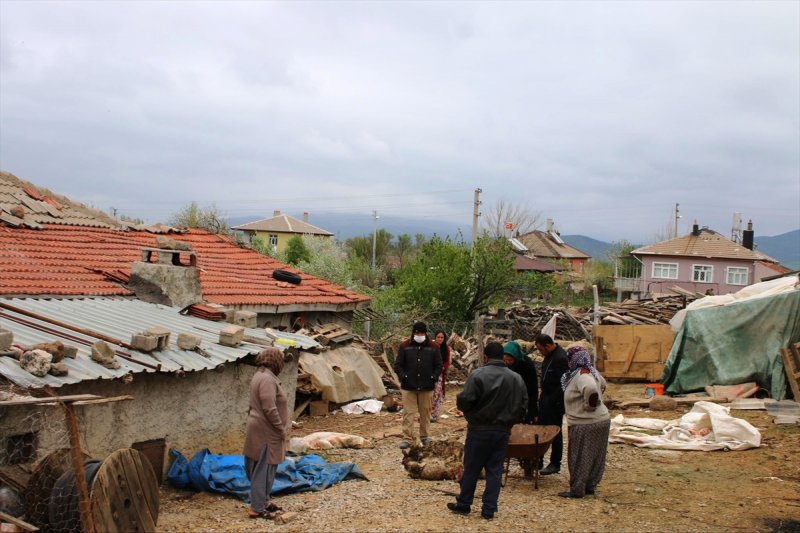 Konya'da Ağıla Giren Kurtlar 20 Koyunu Telef Etti