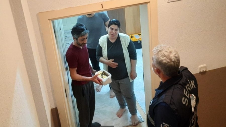 Antalya'da Yaprak Sarmasına Aşeren Kadına Zabıta Yardımı