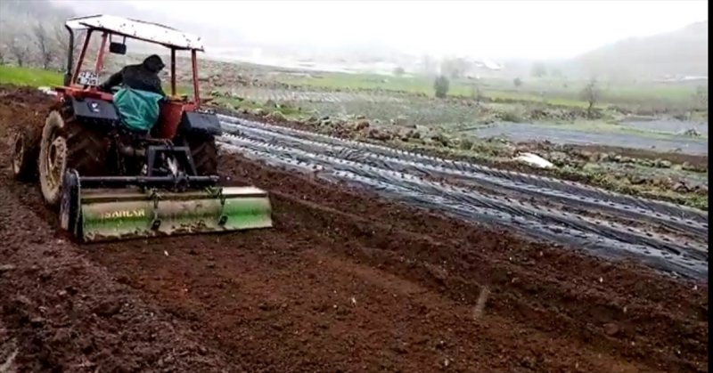 Konya'da Kar Yağışı Altında Çilek Ekimi