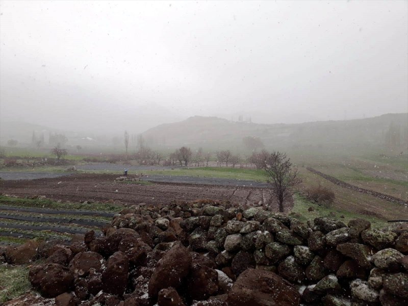 Konya'da Kar Yağışı Altında Çilek Ekimi