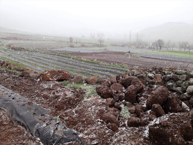 Konya'da Kar Yağışı Altında Çilek Ekimi