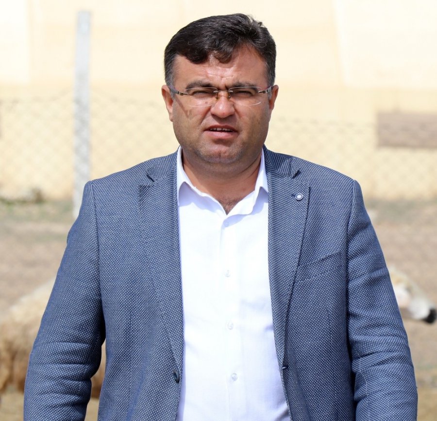 Türkiye’de 53 Milyon Hayvan Üreticisine 1 Milyar 100 Milyon Destek Ödemesi