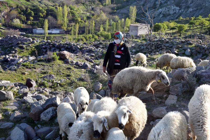 Konya'nın Tarihi Mahallesinin Kadın Çobanı