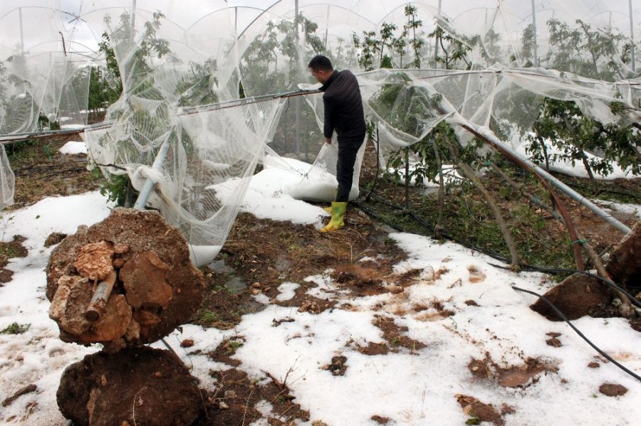 Mersin’de Dolu Afetinin Bilançosu Ağır