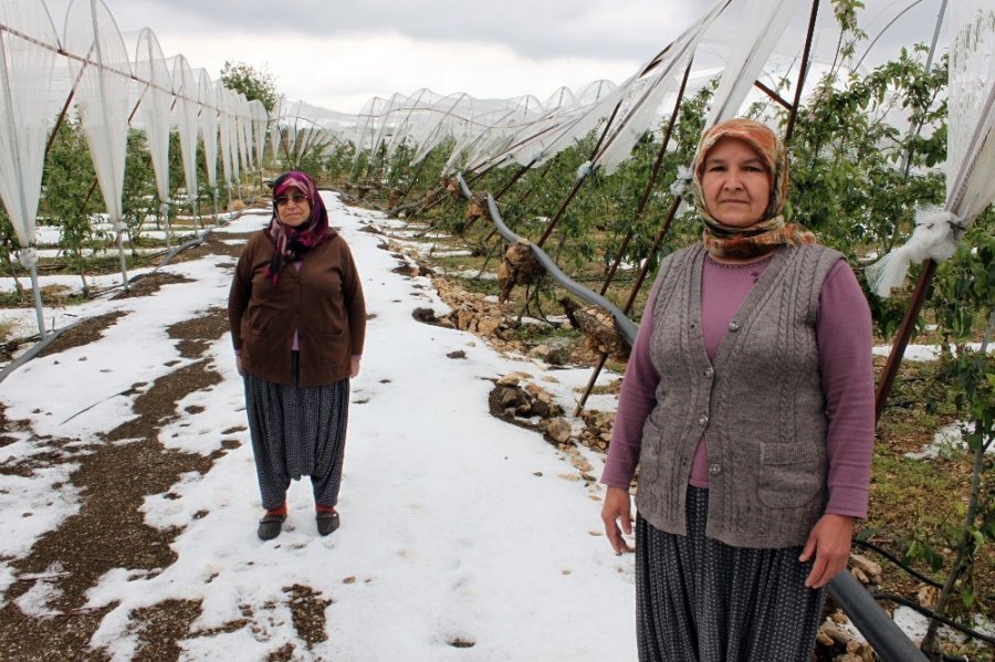 Mersin’de Dolu Afetinin Bilançosu Ağır