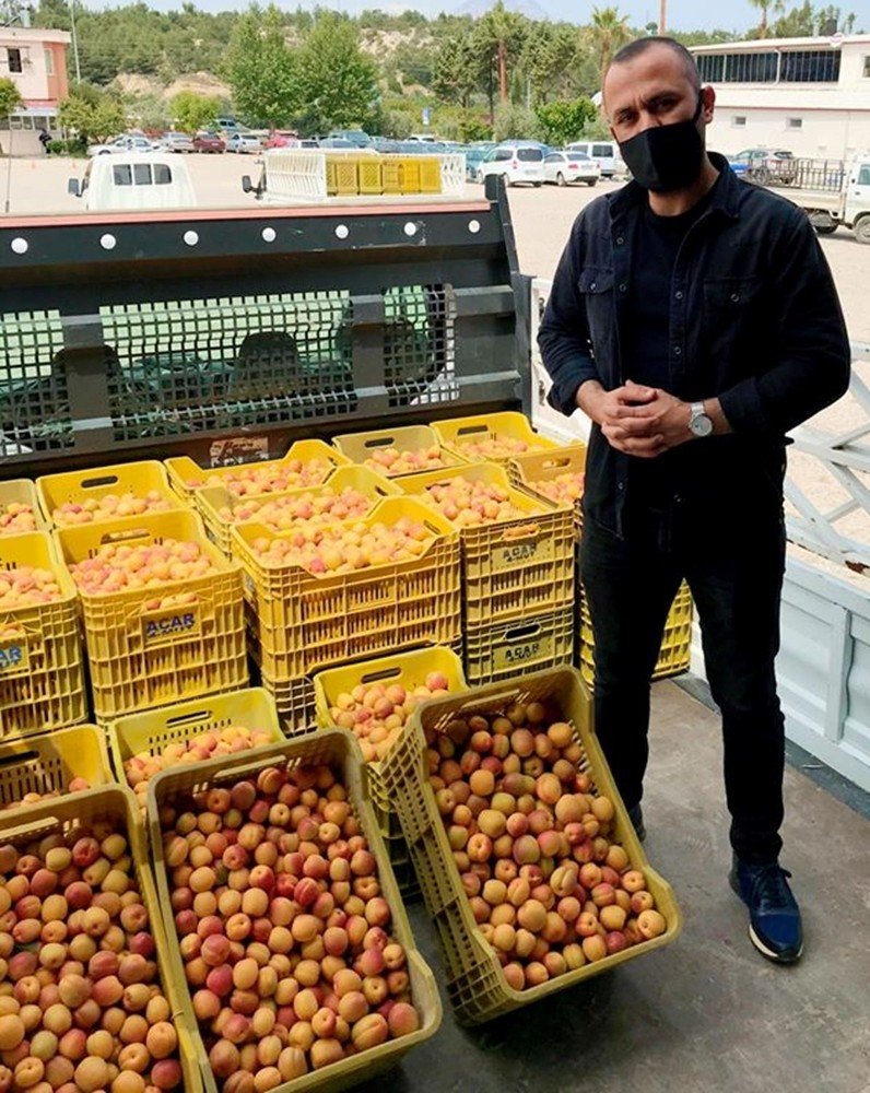Mut’ta Kayısı Üreticisi Fiyatlardan, Tüccar Kaliteden Memnun