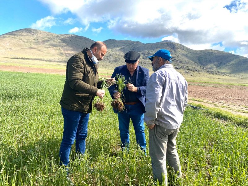 Karaman'da Dolunun Zararları Tespit Ediliyor