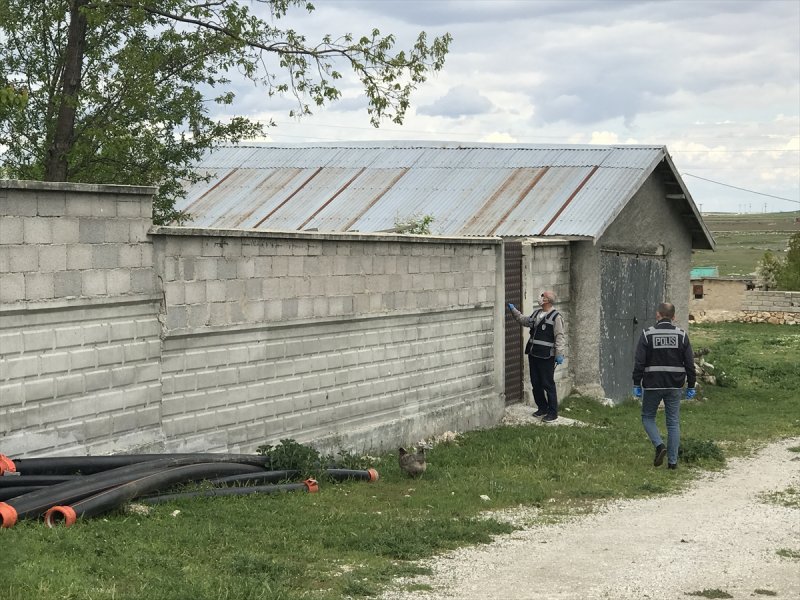 Köpek Dövüşü Ve Bahis Organize Edenlere Operasyon