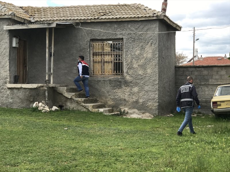 Köpek Dövüşü Ve Bahis Organize Edenlere Operasyon