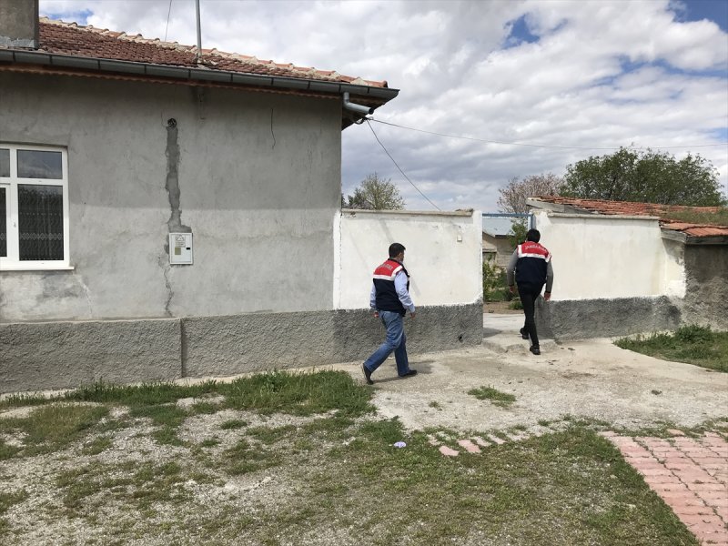 Köpek Dövüşü Ve Bahis Organize Edenlere Operasyon