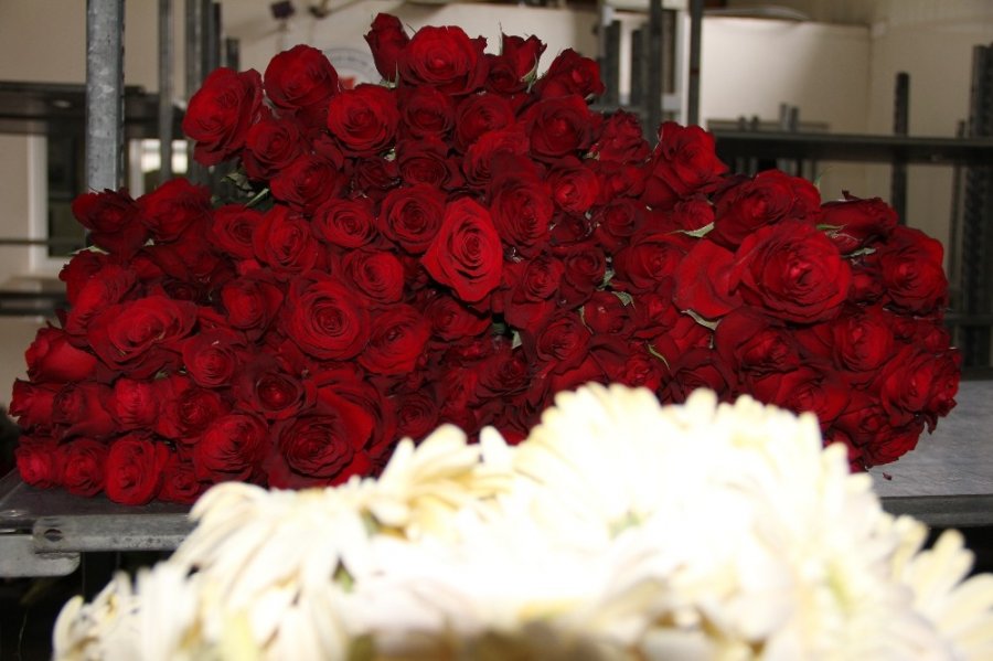 Korona Virüs, Çiçekçileri Fena Vurdu