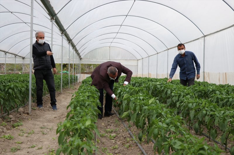 Niğdeli Üretici Destekle Üretime Devam Ediyor