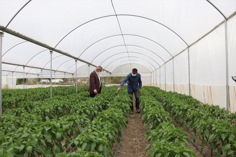 Niğdeli Üretici Destekle Üretime Devam Ediyor