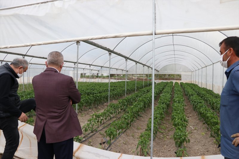 Niğdeli Üretici Destekle Üretime Devam Ediyor